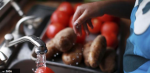 Agriculture Department study concludes healthy diet is less expensive than junk food | StarTribune.com